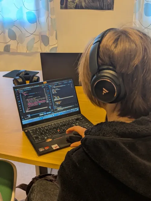 Programmering, spill og web-teknologi